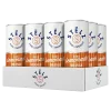 Stelz Hard lemonade Orange